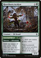 Rosethorn Acolyte // Seasonal Ritual #174