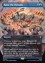 Raise the Palisade #18