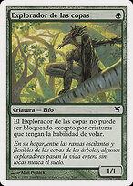 Treetop Scout #B5