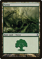 Forest #300