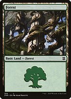 Forest #384