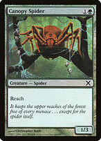 Canopy Spider #254★