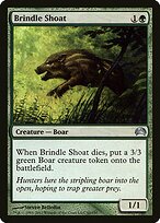 Brindle Shoat #60