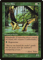River Boa #118