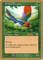 Birds of Paradise #bk231