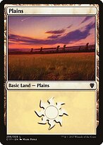 Plains #296