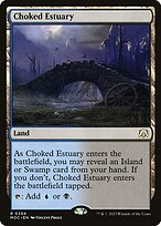 Choked Estuary #394