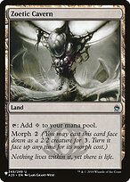 Zoetic Cavern #A25-249