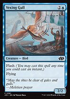 Vexing Gull #381