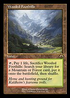 Wooded Foothills #441