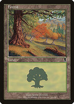 Forest #349