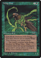 Whip Vine #103b