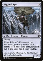 Pilgrim's Eye #333