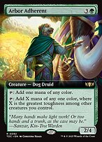 Arbor Adherent #82