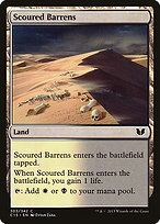 Scoured Barrens #303