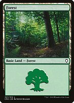 Forest #307