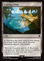 Evolving Wilds #389