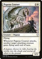 Pegasus Courser #29