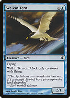Welkin Tern #76