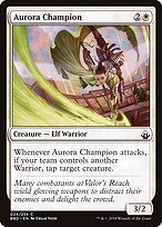 Aurora Champion #24