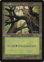 Forest #347