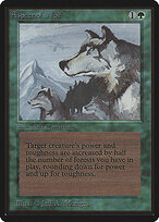 Aspect of Wolf #185