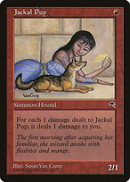 Jackal Pup #183