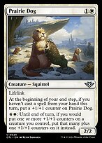 Prairie Dog #24