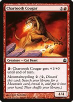 Chartooth Cougar #115