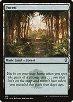 Forest #470