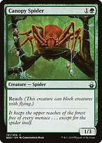 Canopy Spider #191