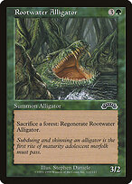 Rootwater Alligator #122