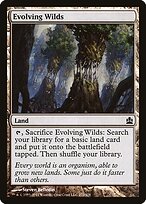 Evolving Wilds #272