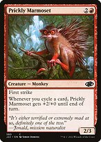 Prickly Marmoset #580