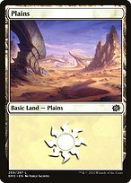 Plains #269