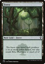 Forest #467