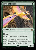 Birds of Paradise #133