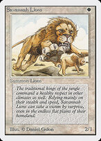 Savannah Lions #39