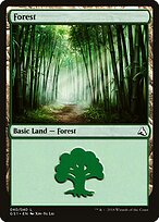 Forest #40