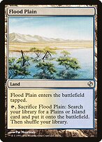 Flood Plain #34