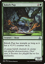 Baloth Pup #127