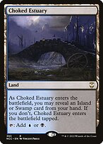 Choked Estuary #393