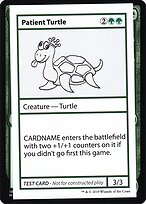 Patient Turtle #82