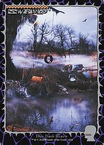 Swamp #1654