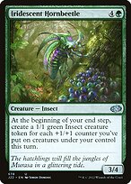 Iridescent Hornbeetle #678
