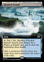 Flooded Strand #464