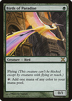 Birds of Paradise #252