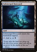 Submerged Boneyard #283