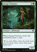 Joraga Visionary #100