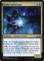 House Guildmage #177